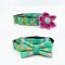 Easter Martingale Dog Collar With Optional Flower Or Bow Tie Eggs And Flowers On Teal Slip On Collar Sizes S, M, L, XL product 1